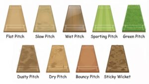 Different types of pitches 