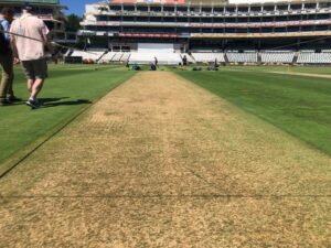 Cricket pitch 